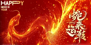 2025新年蛇来运转蛇年主KV设计300DPI海报