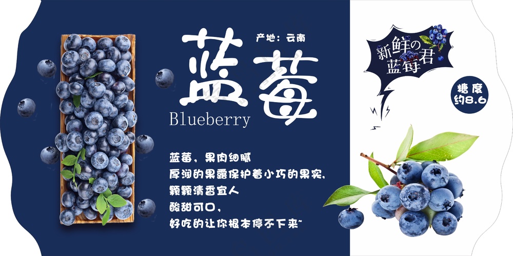 蓝莓吊牌设计