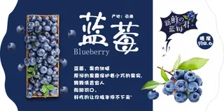 蓝莓吊牌设计