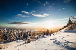 冬季山间完美的森林雪景