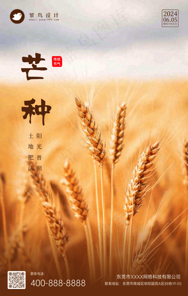 芒种手机海报