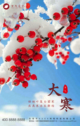 大寒手机海报