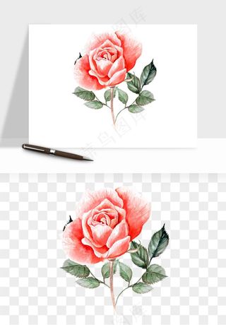 水彩复古花卉png免抠