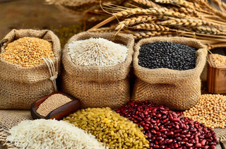 世界粮食日谷物米饭稻谷小麦摄影图