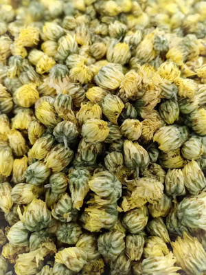 茶饮胎菊花