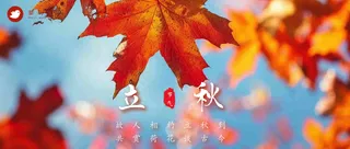 立秋公众号首图