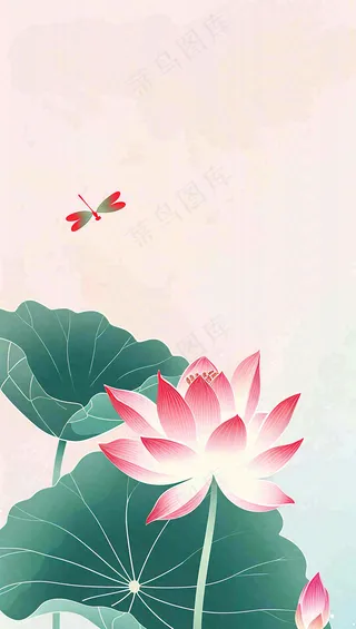 夏天荷花荷叶清凉小清新淡雅立夏夏至暑插画背景