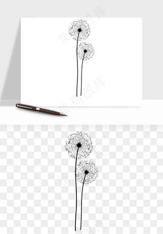 唯美蒲公英种子png免抠