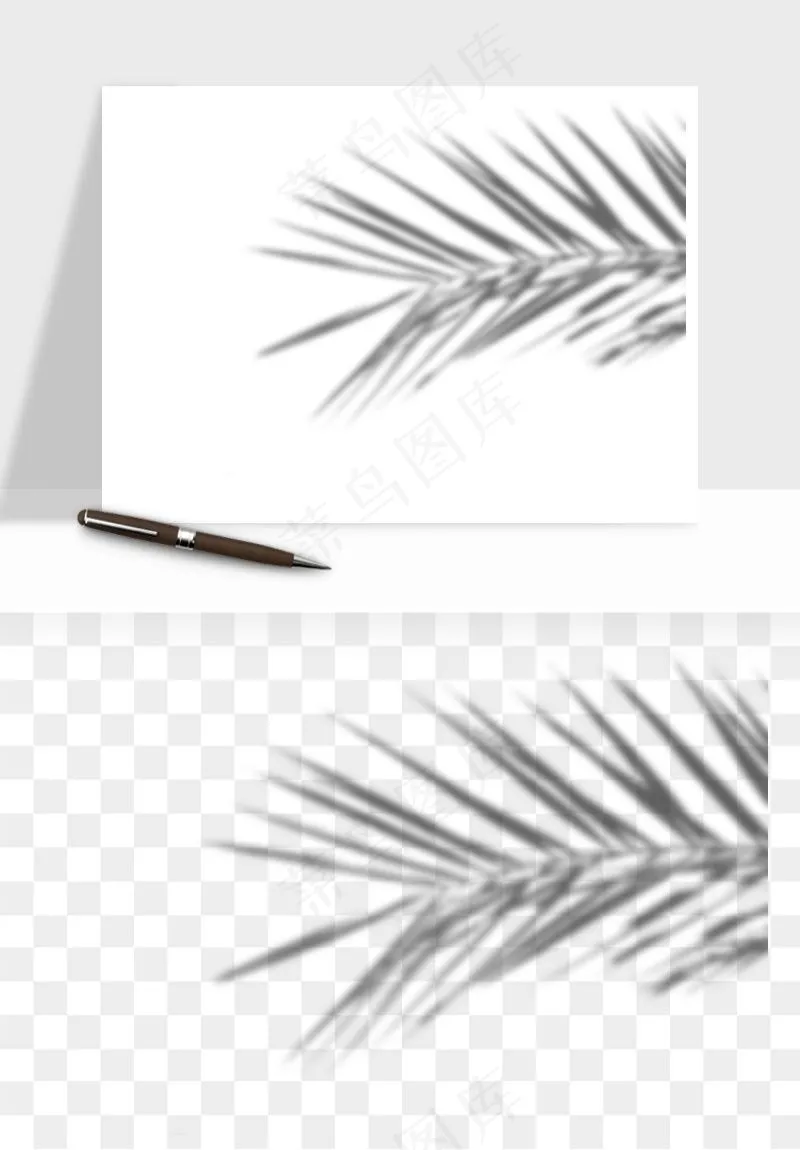 阴影植物窗户投影免抠元素