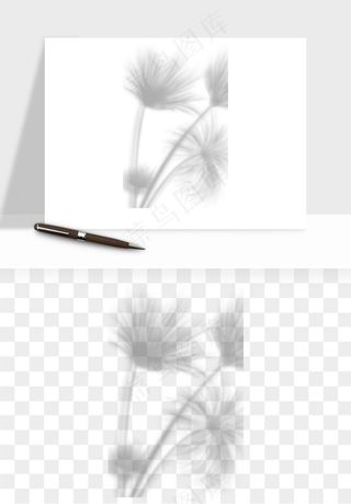 阴影植物窗户投影免抠元素