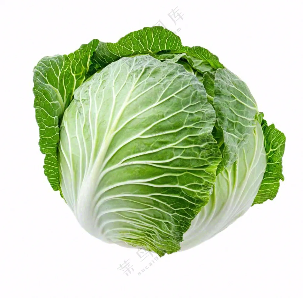 青菜蔬菜包菜免抠
