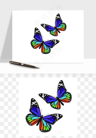 蝴蝶昆虫矢量png免抠