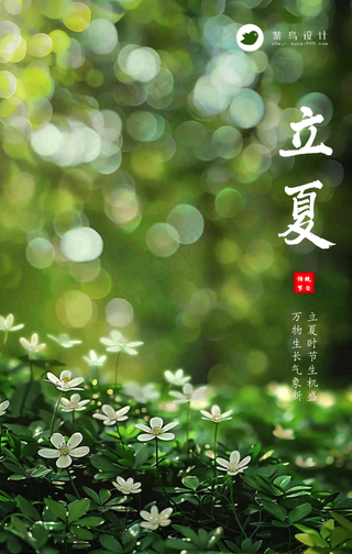 立夏手机海报