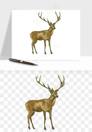 手绘梅花鹿小鹿麋鹿png免抠
