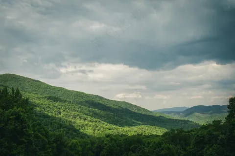 翠绿山谷中的云影 翠绿山谷中的云影