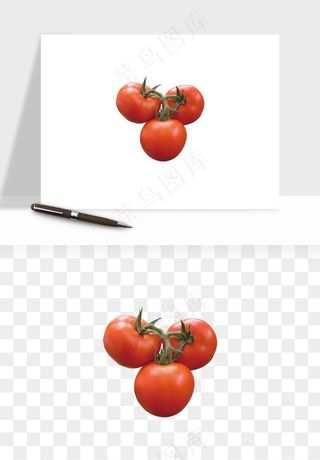 西红柿番茄圣女果png免抠