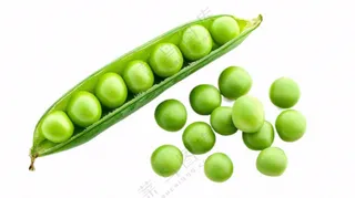 豌豆青豆蔬菜免抠