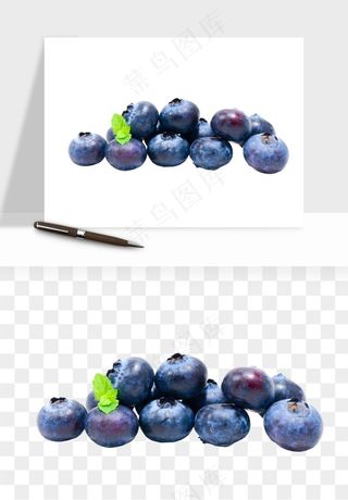 蓝莓水果png免抠