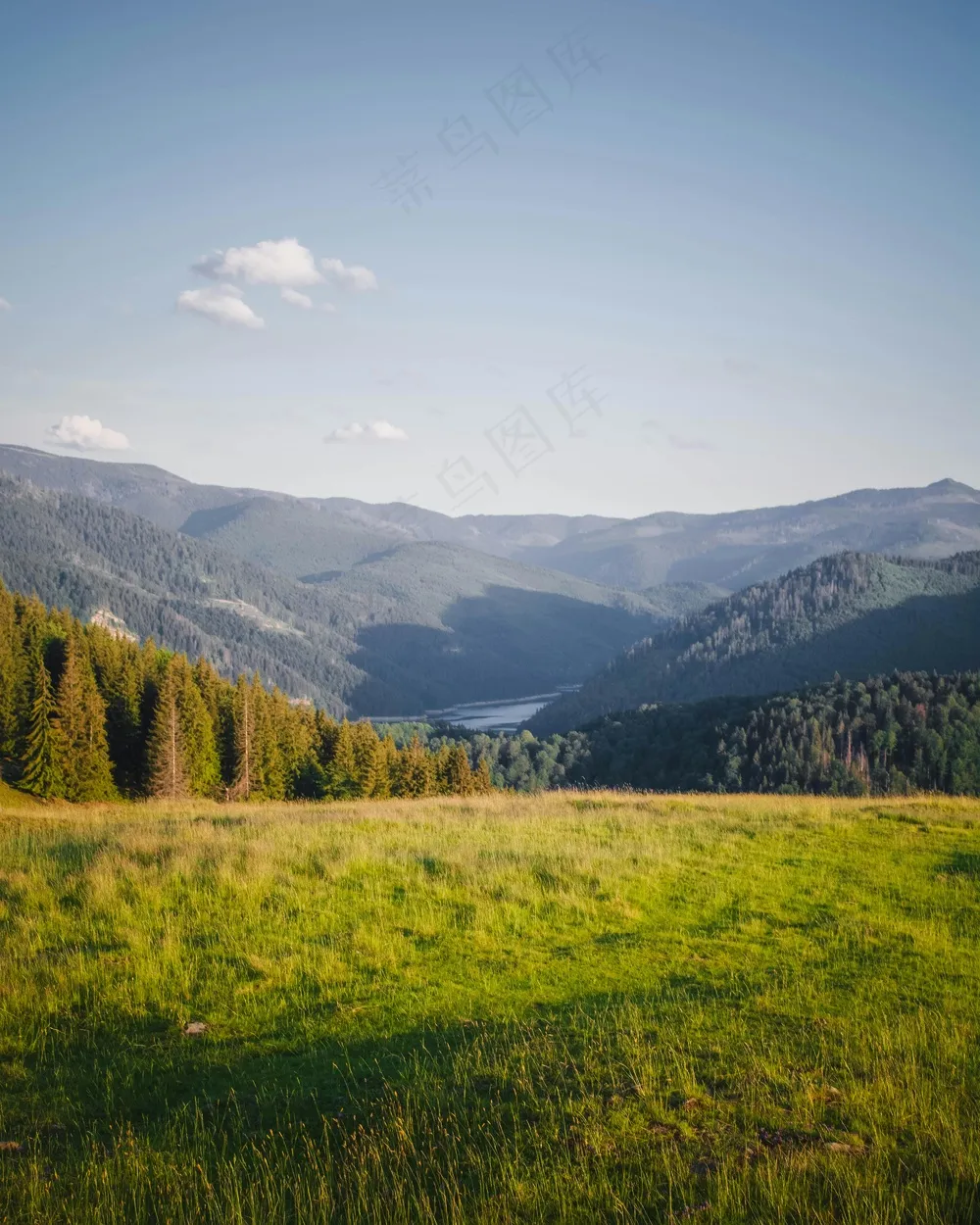 翠绿山谷的宁静诗篇