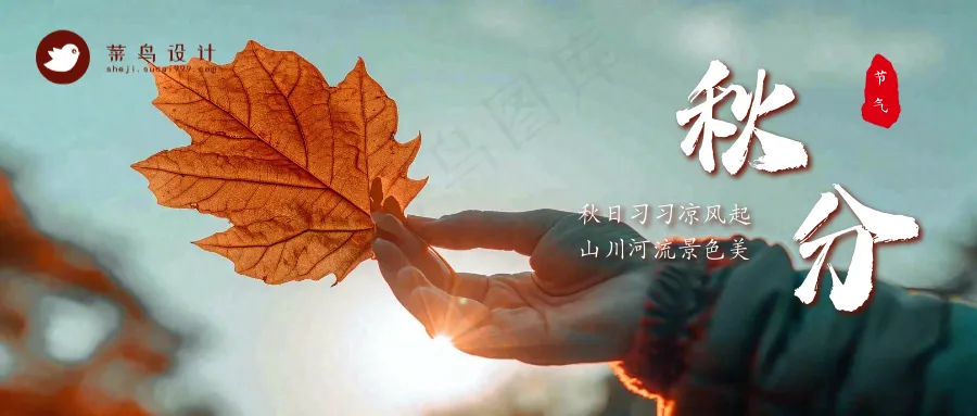 秋分公众号首图
