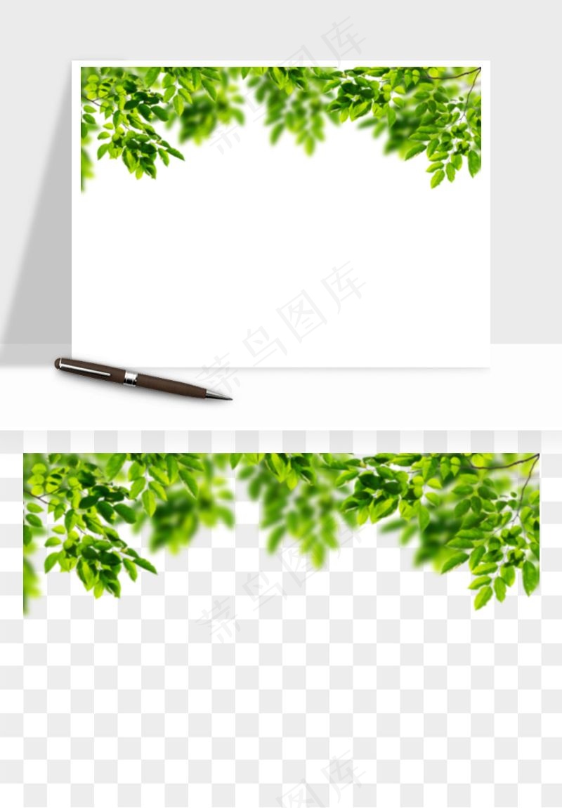 绿叶虚化前景树枝png免抠