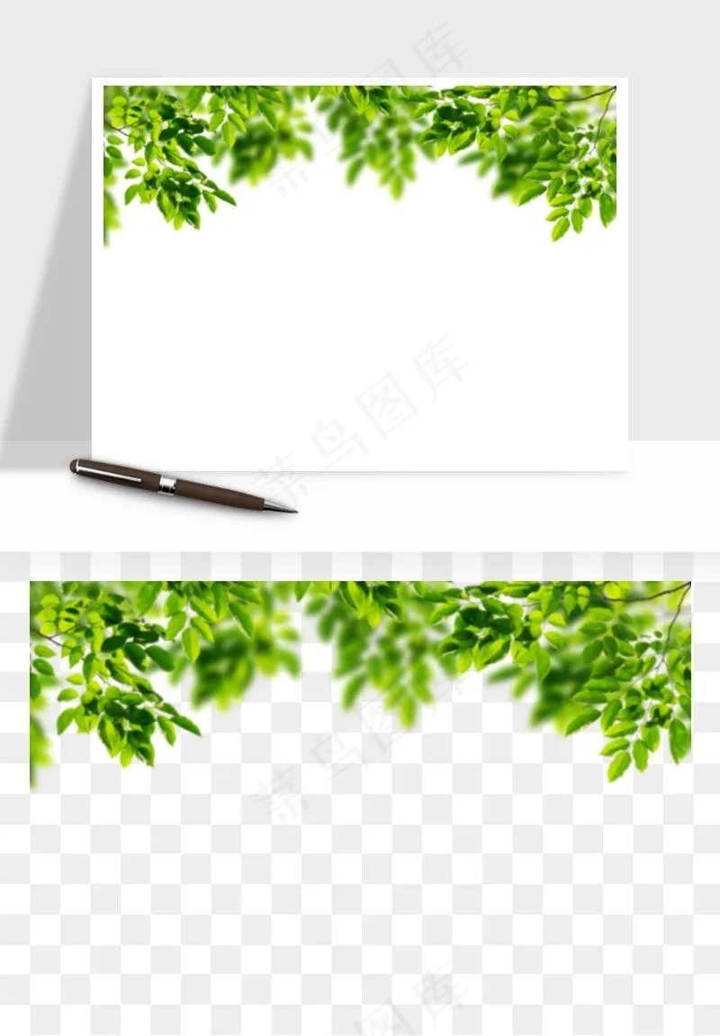 绿叶虚化前景树枝png免抠