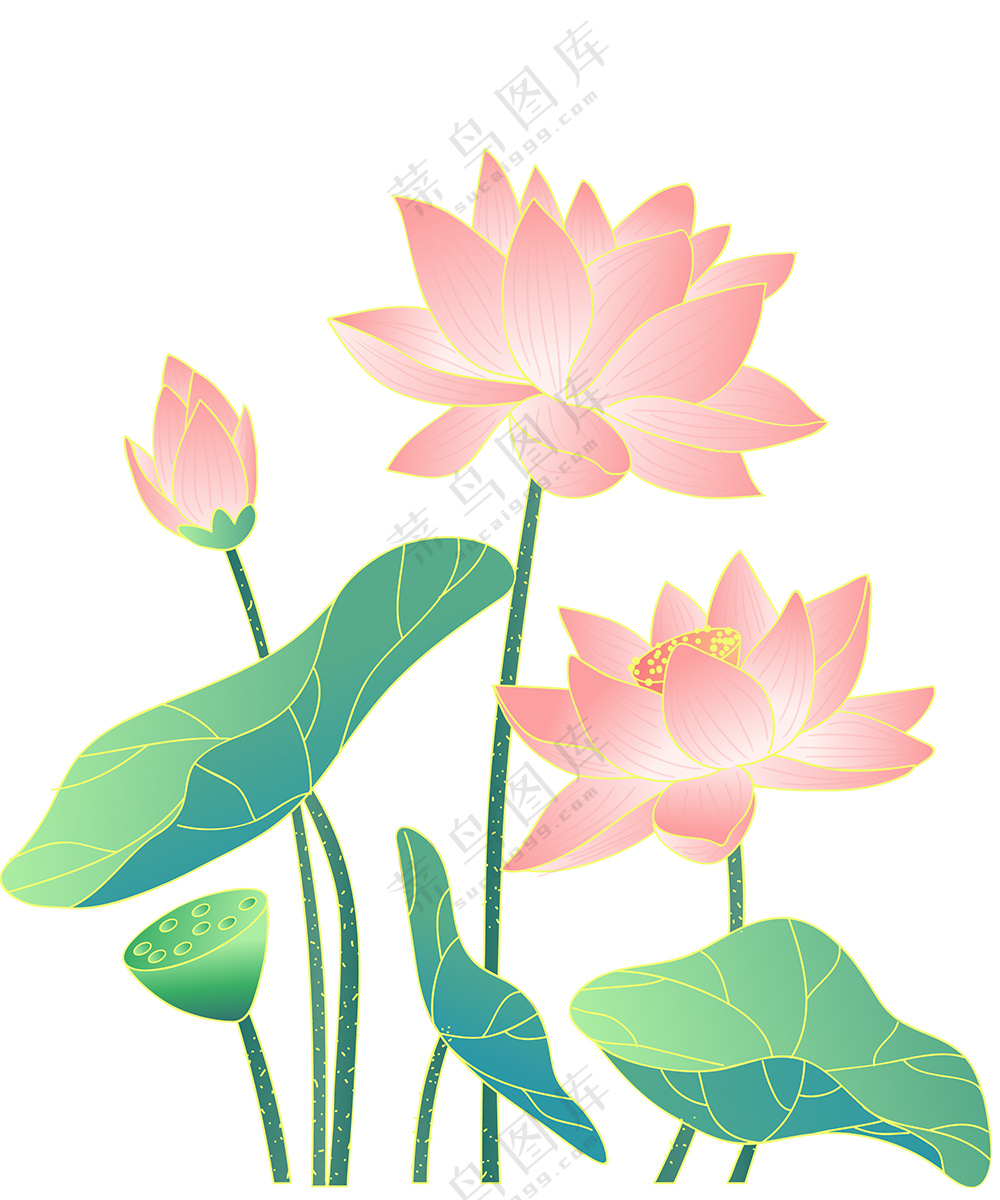 荷花透明素材
