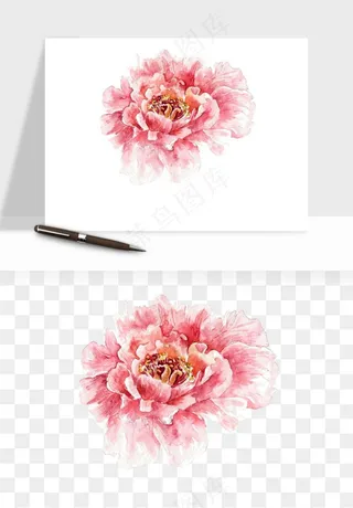 水彩复古花卉png免抠