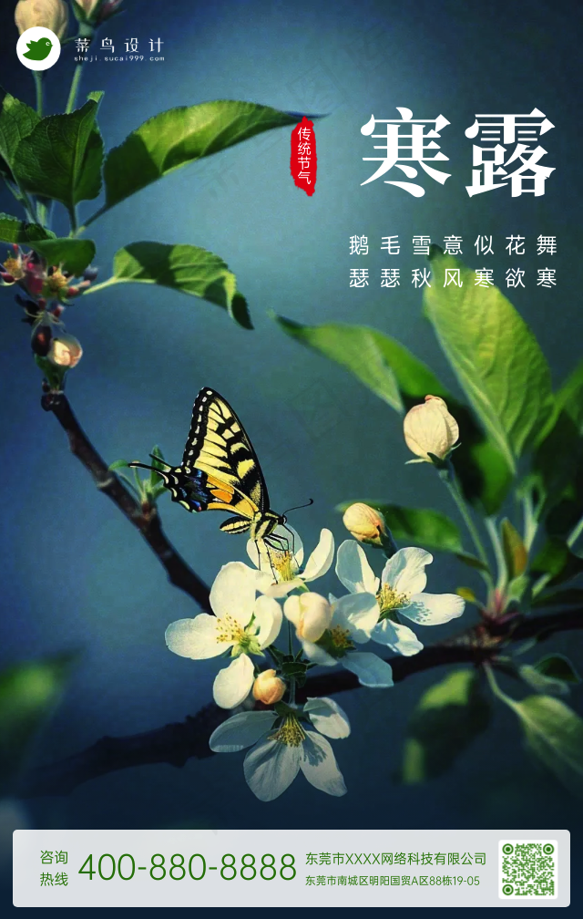 寒露手机海报