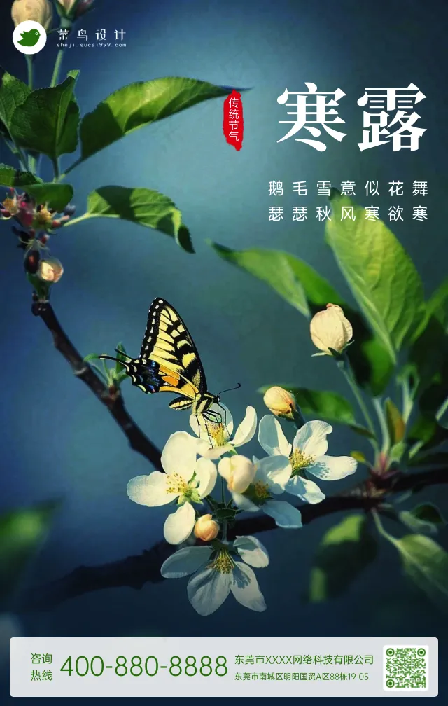 寒露手机海报