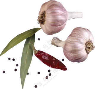 大蒜香叶与干辣椒主题免抠图片素材