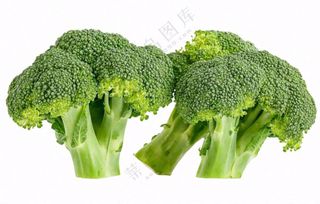 西蓝花蔬菜免抠