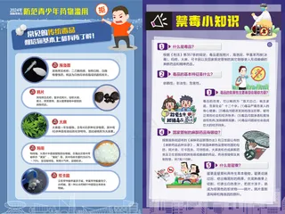 国际禁毒日拒毒防毒知识海报展板