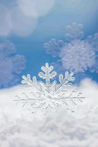 冰天雪地里的透明雪花白雪立冬小寒大寒冬至摄影图/