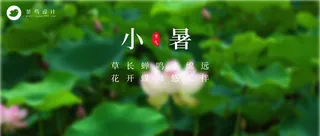 小暑公众号首图