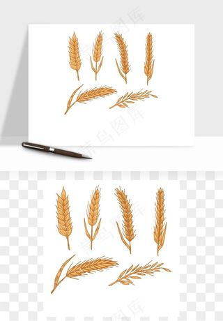 手绘麦穗稻穗麦秆矢量png免抠