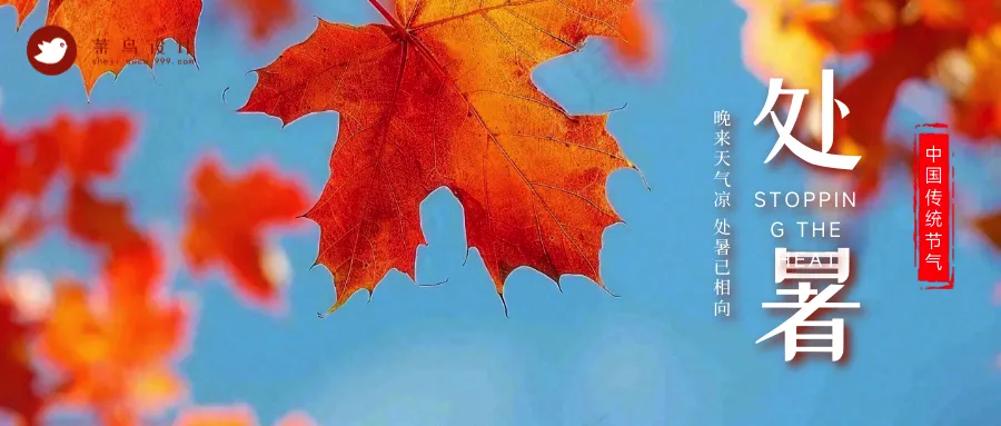 处暑公众号首图