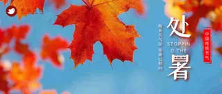 处暑公众号首图