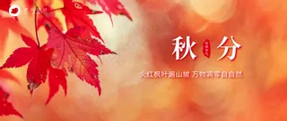 秋分公众号首图
