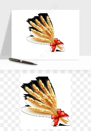 手绘麦穗稻穗麦秆矢量png免抠