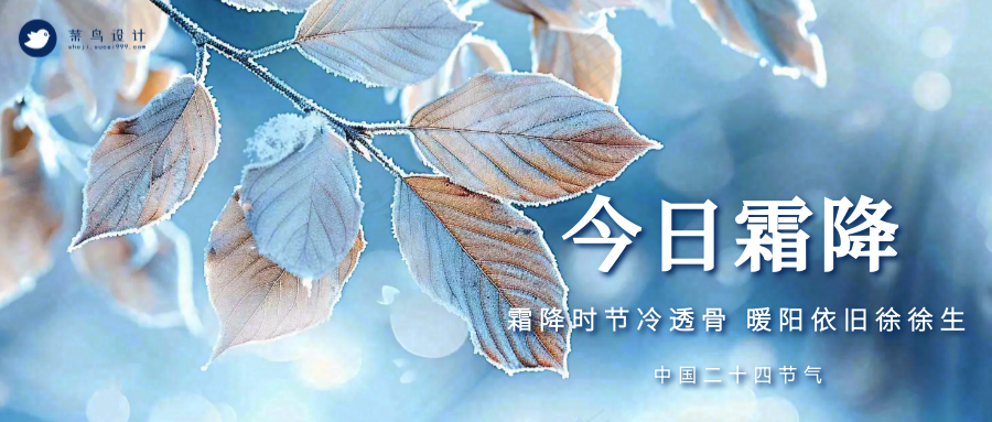 霜降公众号首图