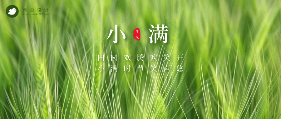 小满公众号首图