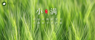 小满公众号首图