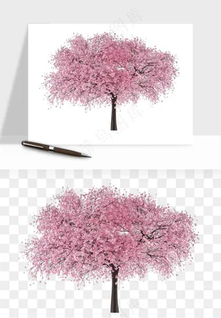 手绘樱花树png免抠