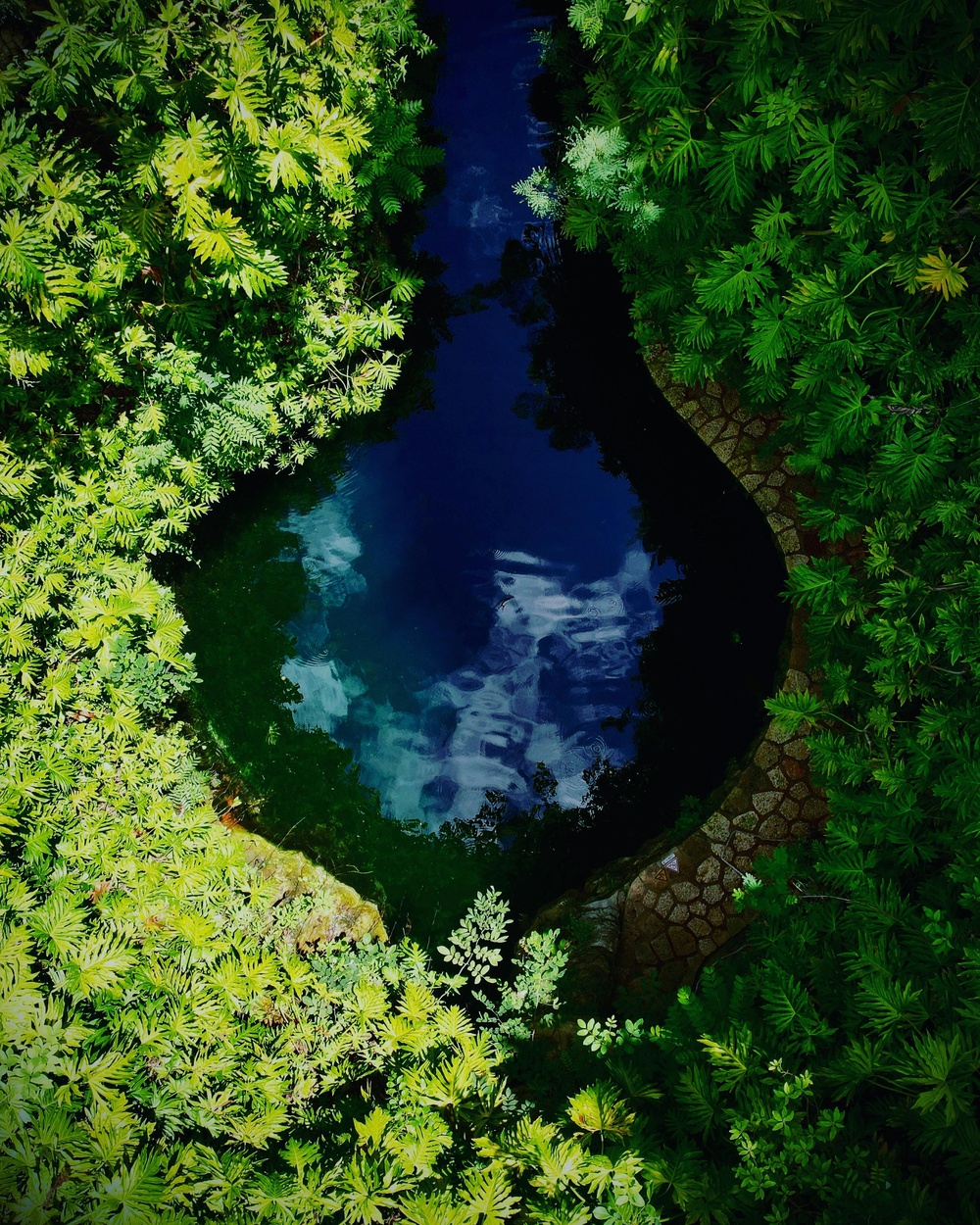 静谧蓝池：自然水彩风格摄影