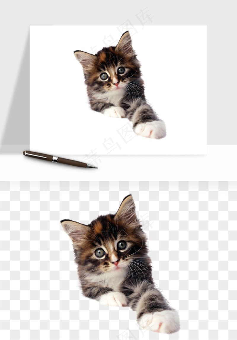 猫咪喵星人狗狗宠物元素png免抠