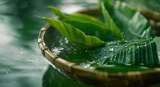 端午节浸泡的绿叶粽叶清新摄影图