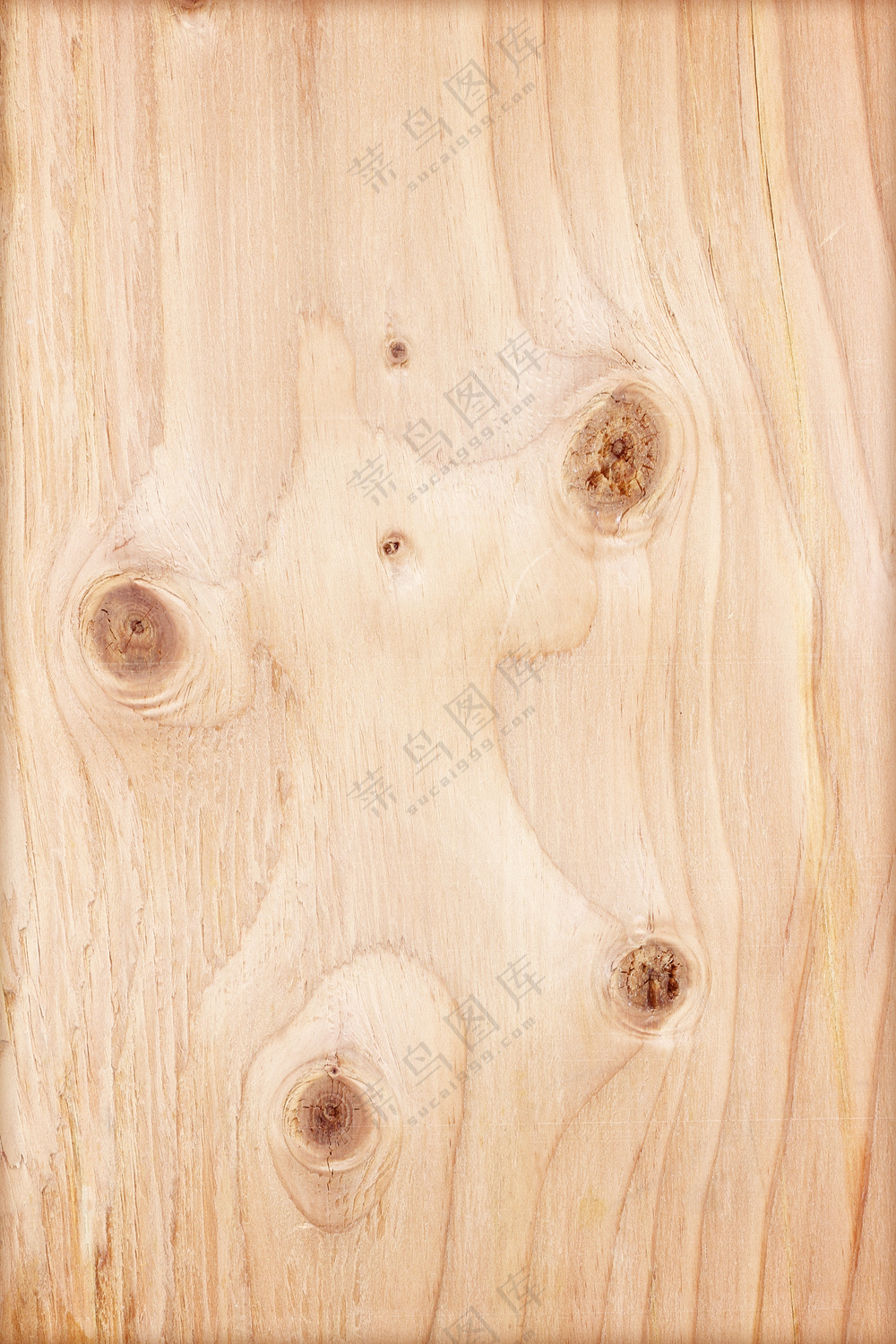 木纹图片素材 (2)