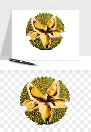 榴莲果肉水果png免抠