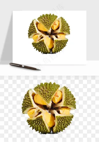 榴莲果肉水果png免抠